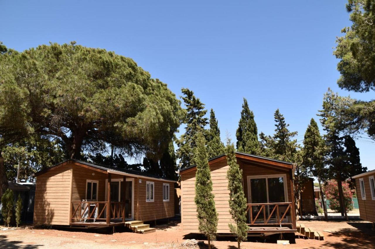 Hotel Taiga Conil à Conil De La Frontera Extérieur photo